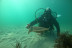 Bautismo de Buceo (Finisterre, A Coruña)