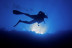 Bautismo de Buceo (Fuengirola, Málaga)