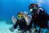 Bautismo de Buceo con Vídeo para cuatro en la Costa Brava (L'Escala, Girona)