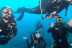 Bautismo de Buceo (Hondarribia, Guipúzcoa)