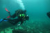 Bautismo de Buceo (Hondarribia, Guipúzcoa)