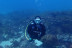 Bautismo de Buceo con Fotos en Isla de Mouro (Santander, Cantabria)