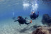 Bautismo de Buceo en Playa Chica del Puerto del Carmen (Lanzarote)