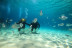 Bautismo de Buceo (Las Palmas, Lanzarote)