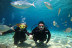 Bautismo de Buceo (Las Palmas, Lanzarote)