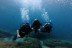 Bautizo de Buceo con Fotos y Vídeos (Lloret de Mar, Girona)