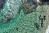 Bautizo de Buceo con Fotos y Vídeos (Lloret de Mar, Girona)