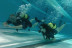Bautismo de Buceo en Piscina con Fotos y Vídeo para dos (Madrid)