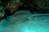 Bautismo de Buceo (Málaga)