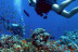 Bautismo de Buceo en el Mar y Reportaje Fotográfico para dos (Tenerife)