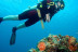 Bautismo de Buceo en el Mar y Reportaje Fotográfico para dos (Tenerife)