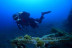 Bautismo de Buceo en el Mar y Reportaje Fotográfico para dos (Tenerife)
