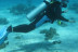 Bautismo de Buceo en el Mar y Reportaje Fotográfico para dos (Tenerife)