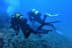 Bautizo de buceo en el mar con instructor personal (Mataró, Barcelona)