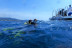 Bautizo de buceo en el mar con instructor personal (Mataró, Barcelona)