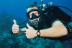Descubre el  Buceo PADI para dos (Tossa de Mar, Girona)