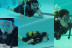Bautismo de Buceo en Piscina con Fotos y Vídeo (Madrid)