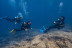Bautizo de Buceo en Piscina y en el Mar (Playa Blanca, Lanzarote)