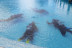 Bautizo de Buceo en Piscina y en el Mar (Playa Blanca, Lanzarote)