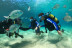 Bautizo de Buceo (Playa del Jablillo, Lanzarote)