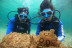 Bautizo de Buceo (Playa del Jablillo, Lanzarote)