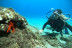 Bautismo de Buceo en Puerto del Carmen o Costa Teguise (Lanzarote)