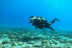 Bautismo de Buceo en Puerto del Carmen o Costa Teguise (Lanzarote)