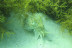 Bautismo de Buceo en la Ría de Viveiro (Lugo)