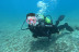 Bautismo de Buceo con Fotos y Vídeos (San Andrés, Tenerife)