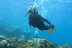 Bautismo de Buceo con Fotos y Vídeos (San Andrés, Tenerife)