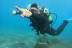 Bautismo de Buceo con Fotos y Vídeos (San Andrés, Tenerife)
