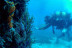 Bautismo de Buceo en Tarifa o La Caleta (Cádiz)