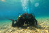 Escapada de 2 Noches en Apartamento y Bautismo de Buceo para dos (Tossa de Mar, Girona) 