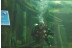 Bautismo de Buceo en el Acuario de Zaragoza (Zaragoza)