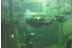 Bautismo de Buceo en el Acuario de Zaragoza (Zaragoza)