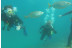Bautismo de Buceo (Playa de Las Vistas, Tenerife)