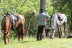 Paseo a Caballo por el Parque Natural de Collserola para dos (Sant Cugat, Barcelona)