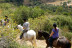 Paseo a Caballo por el Parque Natural de Collserola para dos (Sant Cugat, Barcelona)