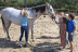 Ruta a Caballo y Clase de Iniciación Ecuestre (Colladillo, Segovia)