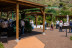 Tour y Degustación en Plantación de Café de Finca Los Castaños (Agaete, Las Palmas)