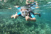 Ruta Guiada de Snorkel con Oceanógrafas (Les Tres Cales, Tarragona)