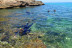 Ruta Guiada de Snorkel con Oceanógrafas (Les Tres Cales, Tarragona)