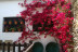 Escapada con Cena en Hostería Casa Adriano (Alanís, Sevilla)
