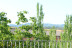 Escapada con Desayuno en Casa Rural El Gaiter (Aguaviva, Teruel)