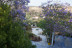 Escapada de 2 Noches con Cena en Casa Rural Aloe Vera (Huércal-Overa, Almería)