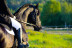 Escapada en Casa Rural con Paseo a Caballo (Granada)