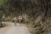 Escapada en Casa Rural con Paseo a Caballo (Granada)