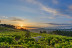 Escapada en Casa Rural Pazo Larache y Visita a Bodega Pazo de Señorans con Cata de Vino y Aguardientes para dos (Pontevedra) 