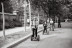 Tour en Segway por el centro de Madrid o por el Parque del Retiro (Madrid)