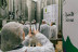 Tras las Puertas de la Almazara: Visita Guiada y Cata de Aceite (Jaén)